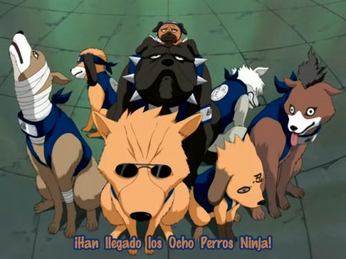Kakashi Ninja Dogs